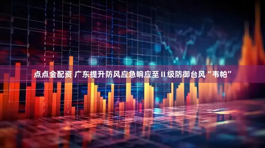 点点金配资 广东提升防风应急响应至Ⅱ级防御台风“韦帕”
