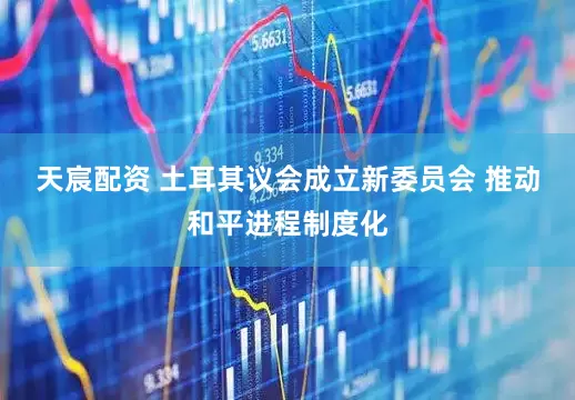 天宸配资 土耳其议会成立新委员会 推动和平进程制度化