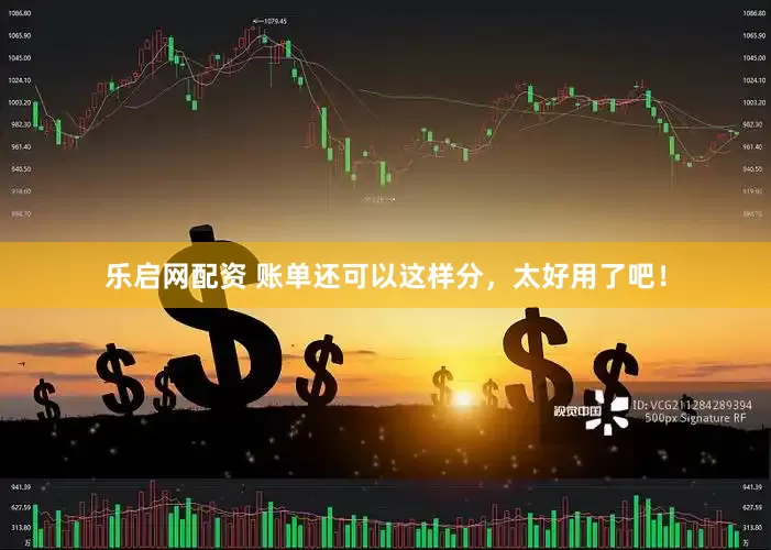 乐启网配资 账单还可以这样分，太好用了吧！